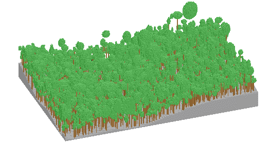 DART tropical forest