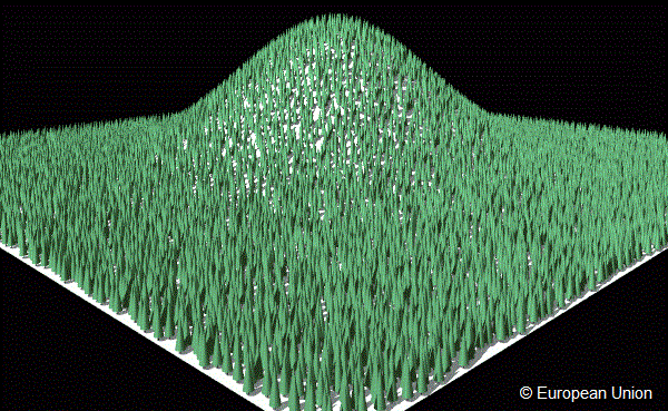 Heterogeneous conifer forest topography
