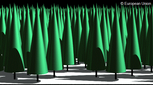 Heterogeneous conifer forest no topography