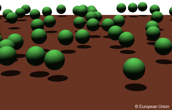 OPEN FOREST scene with LAI=0.50, canopy height=15m, sphere radius=5m