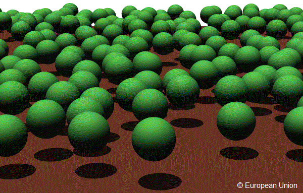 OPEN FOREST scene with LAI=1.50, canopy height=15m, sphere radius=5m