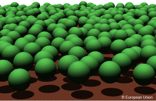 OPEN FOREST scene with LAI=2.50, canopy height=15m, sphere radius=5m