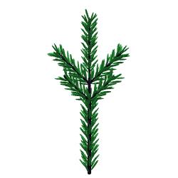 Picea abies leaf description