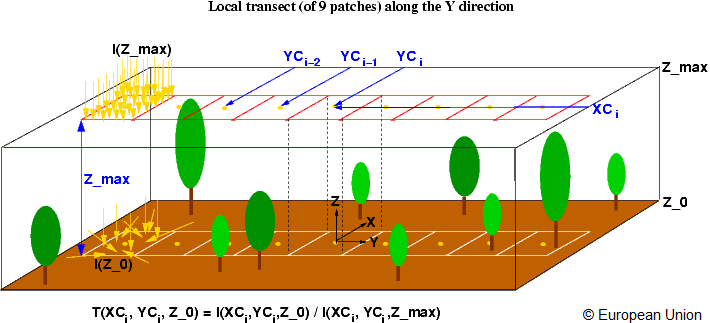 Local transmission transect